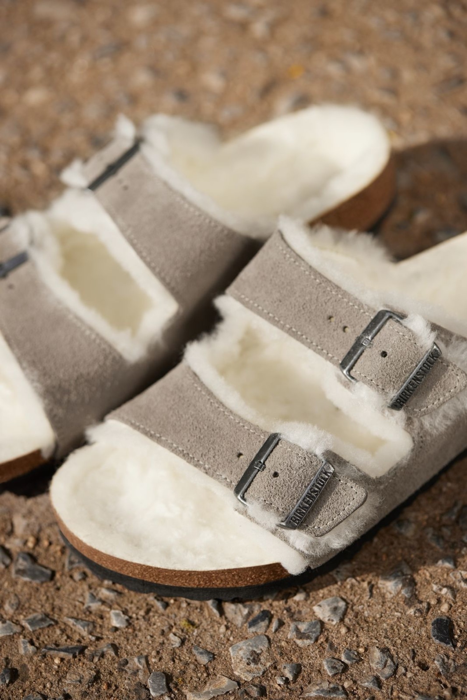 arizona shearling stone coin