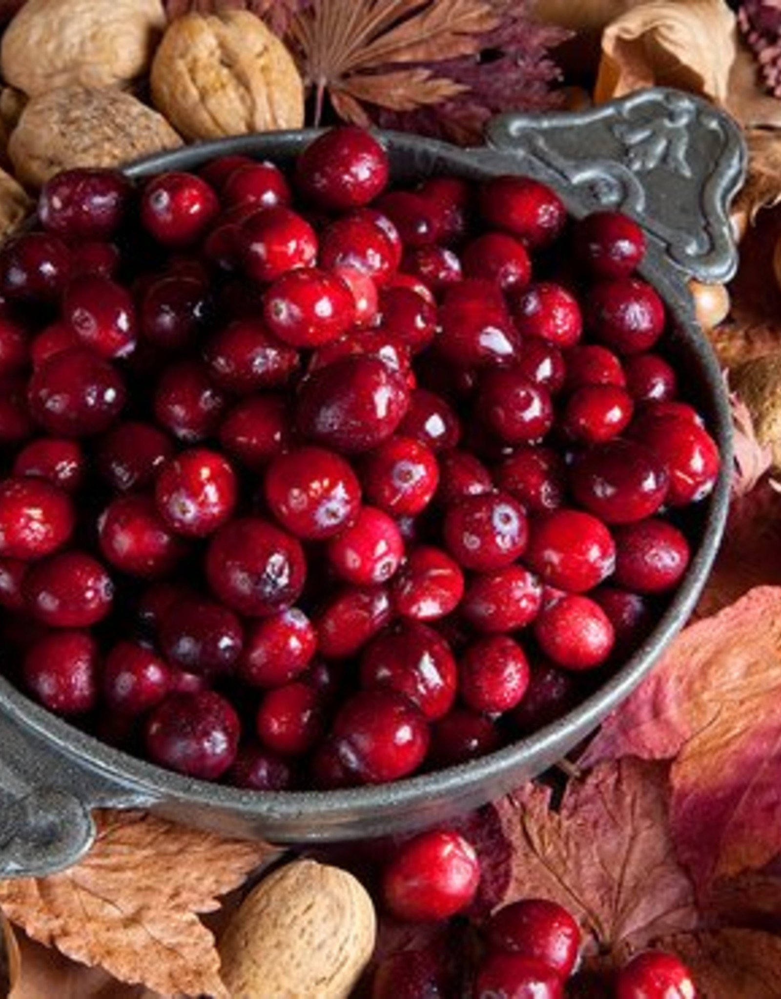 CRANBERRY WALNUT BALSAMIC VINEGAR