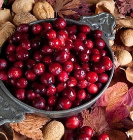 CRANBERRY WALNUT BALSAMIC VINEGAR