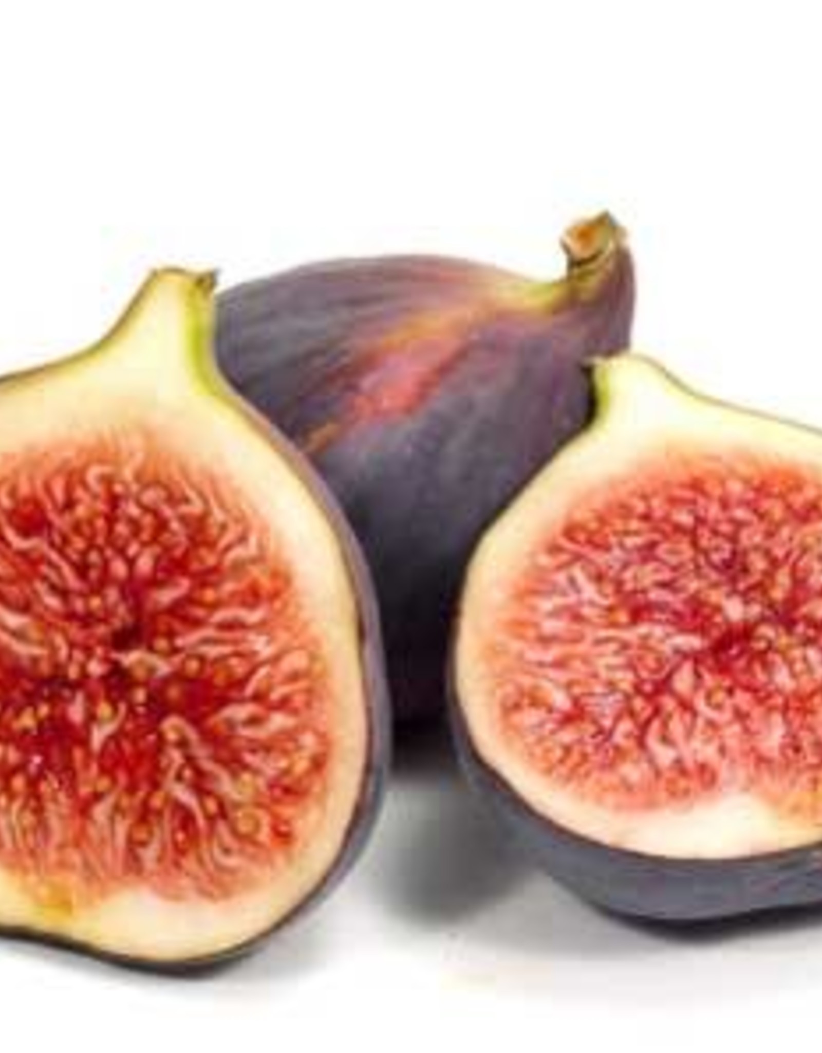 FIG BALSAMIC VINEGAR