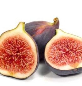 FIG BALSAMIC VINEGAR