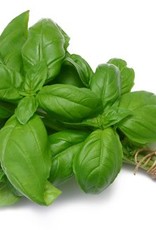 FRESH BASIL OLIVE OIL