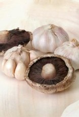 GARLIC MUSHROOM FUSED OLIVE OIL