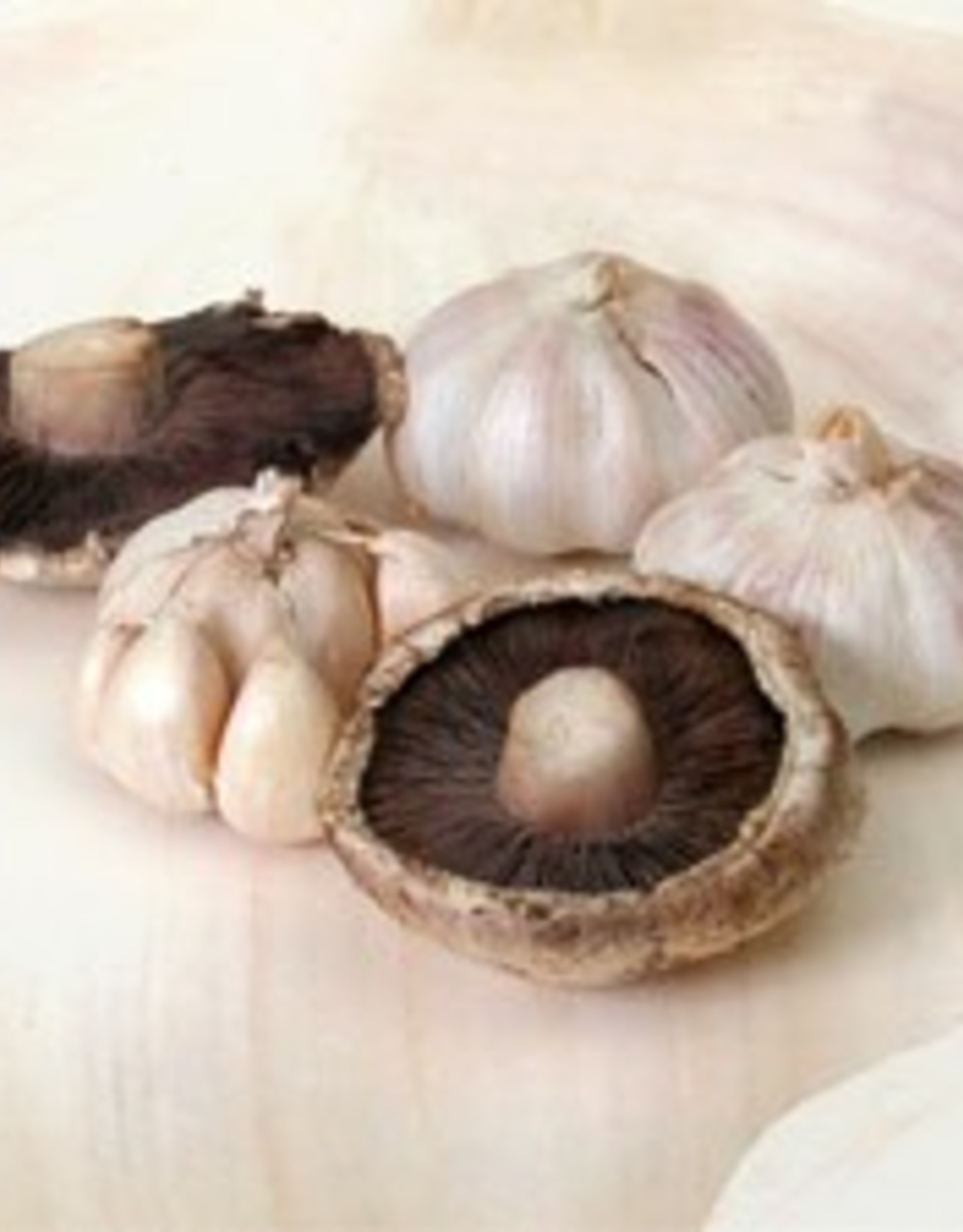 GARLIC MUSHROOM FUSED OLIVE OIL