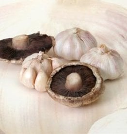 GARLIC MUSHROOM OLIVE OIL