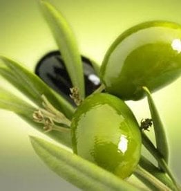 ROSEMARIE’S SIGNATURE ITALIAN BLEND EXTRA VIRGIN OLIVE OIL