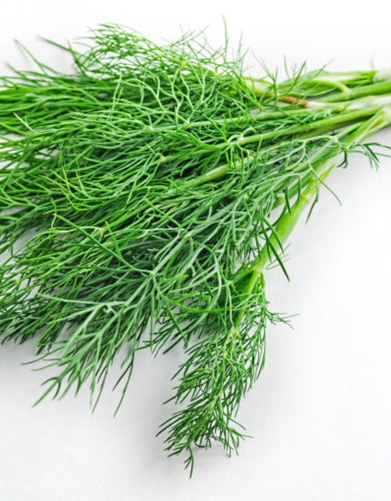 FRESH DILL WHITE BALSAMIC The Wild Olive