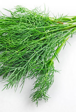 FRESH DILL EXTRA VIRGIN OLIVE OIL