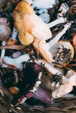 WILD ABOUT MUSHROOMS EXTRA VIRGIN OLIVE OIL