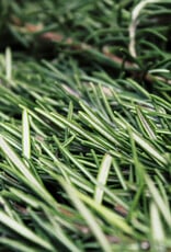 ROSEMARY EXTRA VIRGIN OLIVE OIL