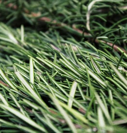 ROSEMARY EXTRA VIRGIN OLIVE OIL