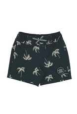 Feather 4 Arrow baby boardshort- sketchy palm