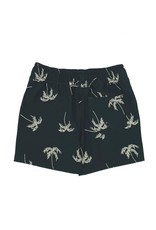 Feather 4 Arrow baby boardshort- sketchy palm