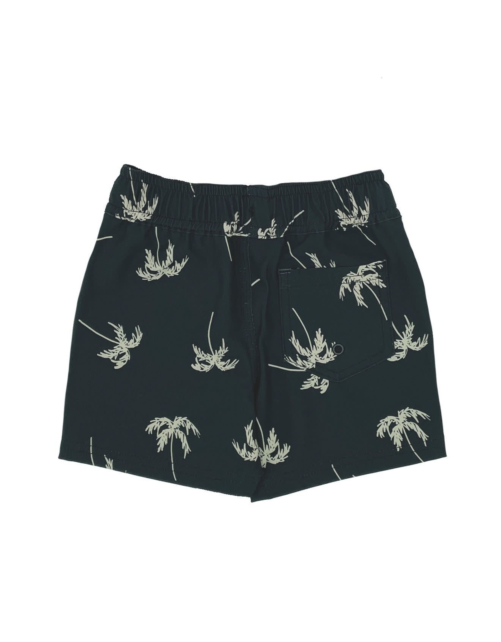 Feather 4 Arrow baby boardshort- sketchy palm