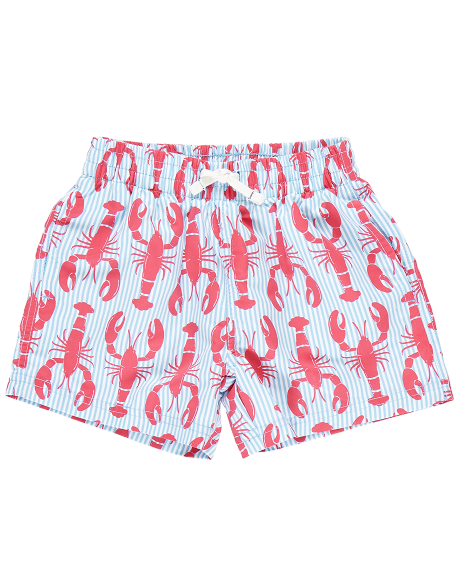 Pink Chicken Boys Swim Trunks