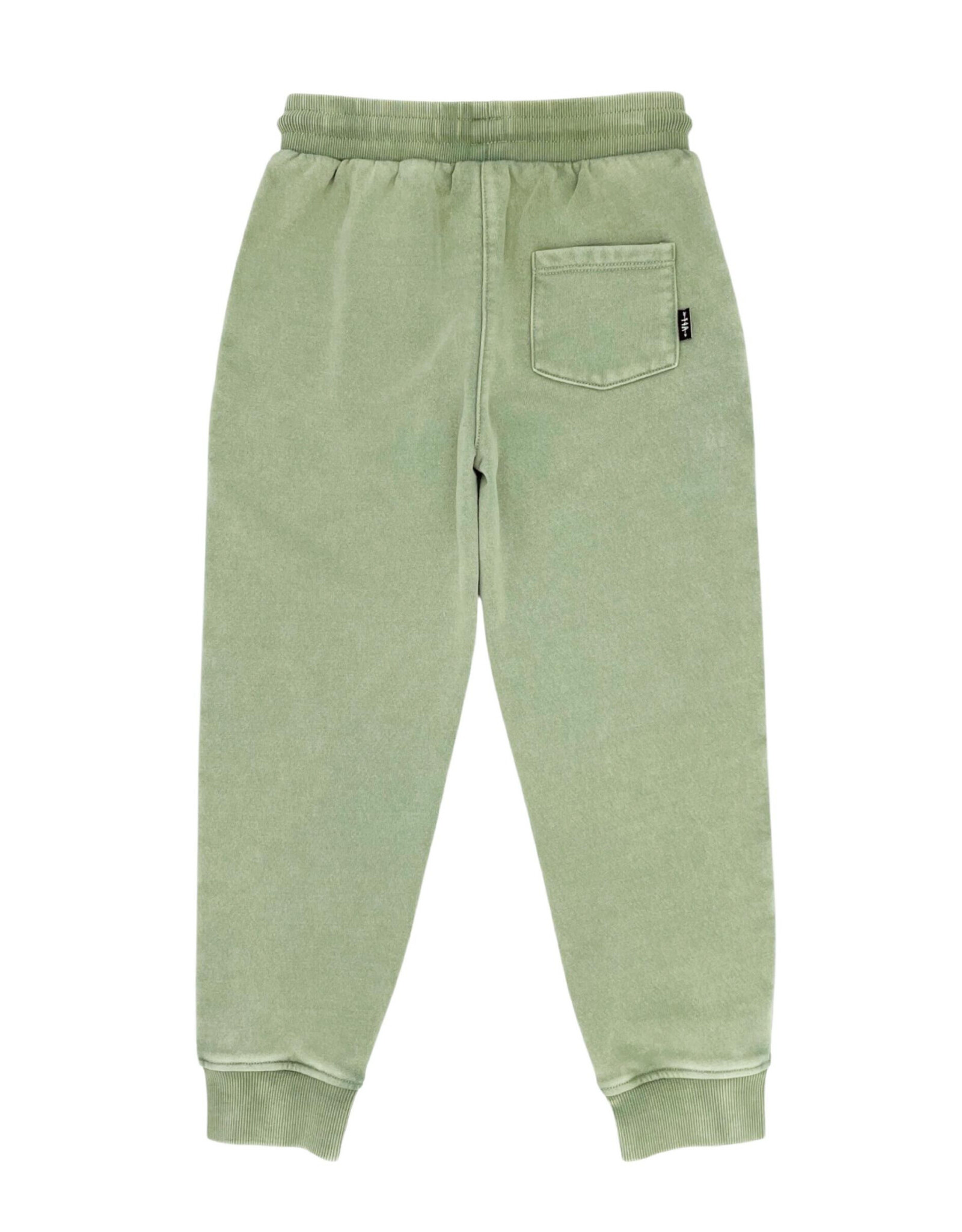 Feather 4 Arrow outsiders jogger- sage