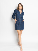 Rails Rails Lisette Dress Raw Denim