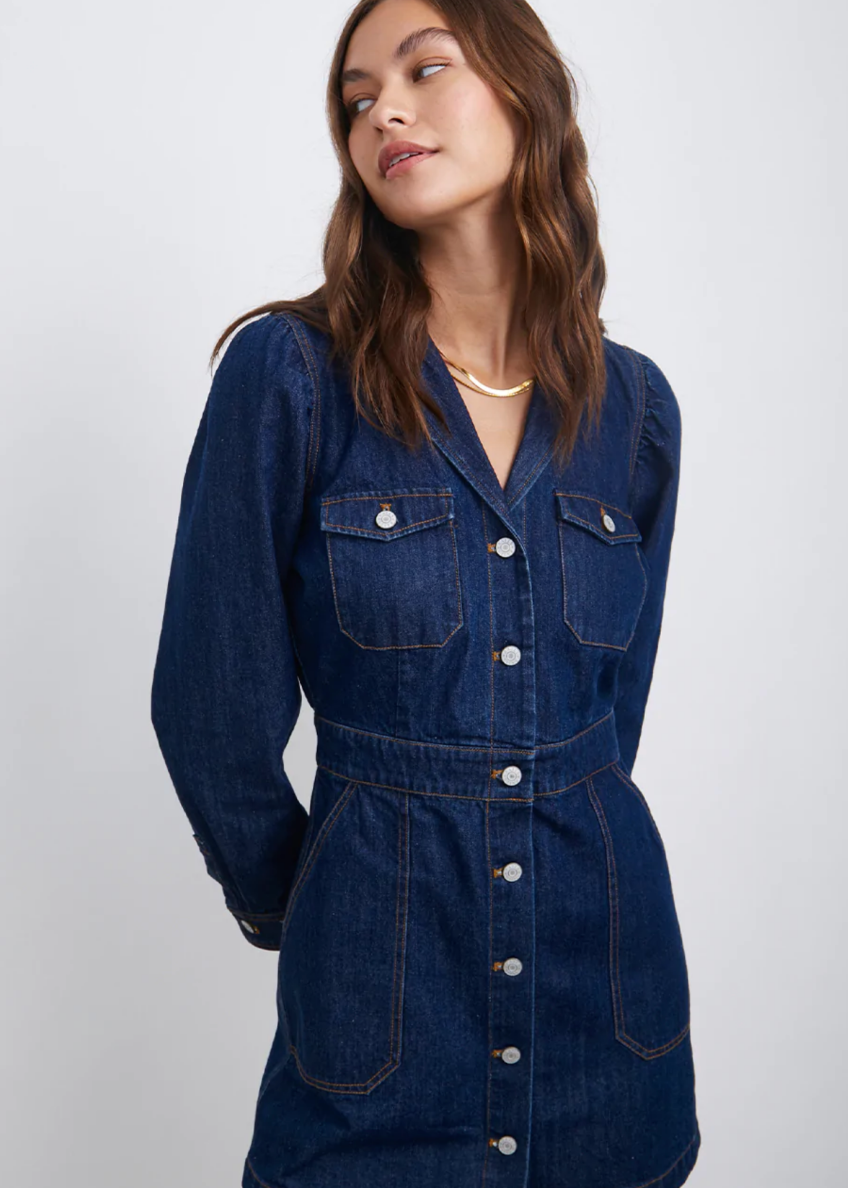 Rails Rails Lisette Dress Raw Denim
