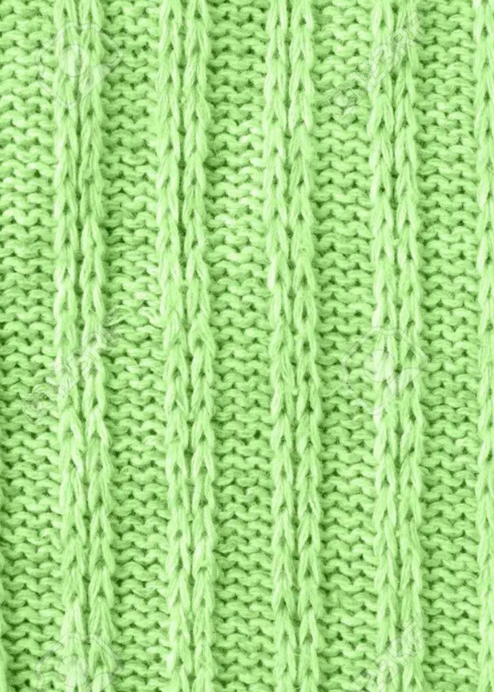 WWW 	Mint Green  Bucket Hat