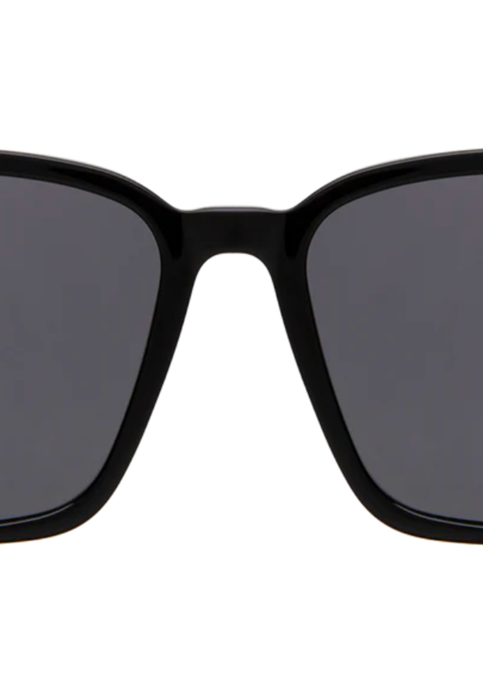 Illesteva Asheville Dalmatian Black