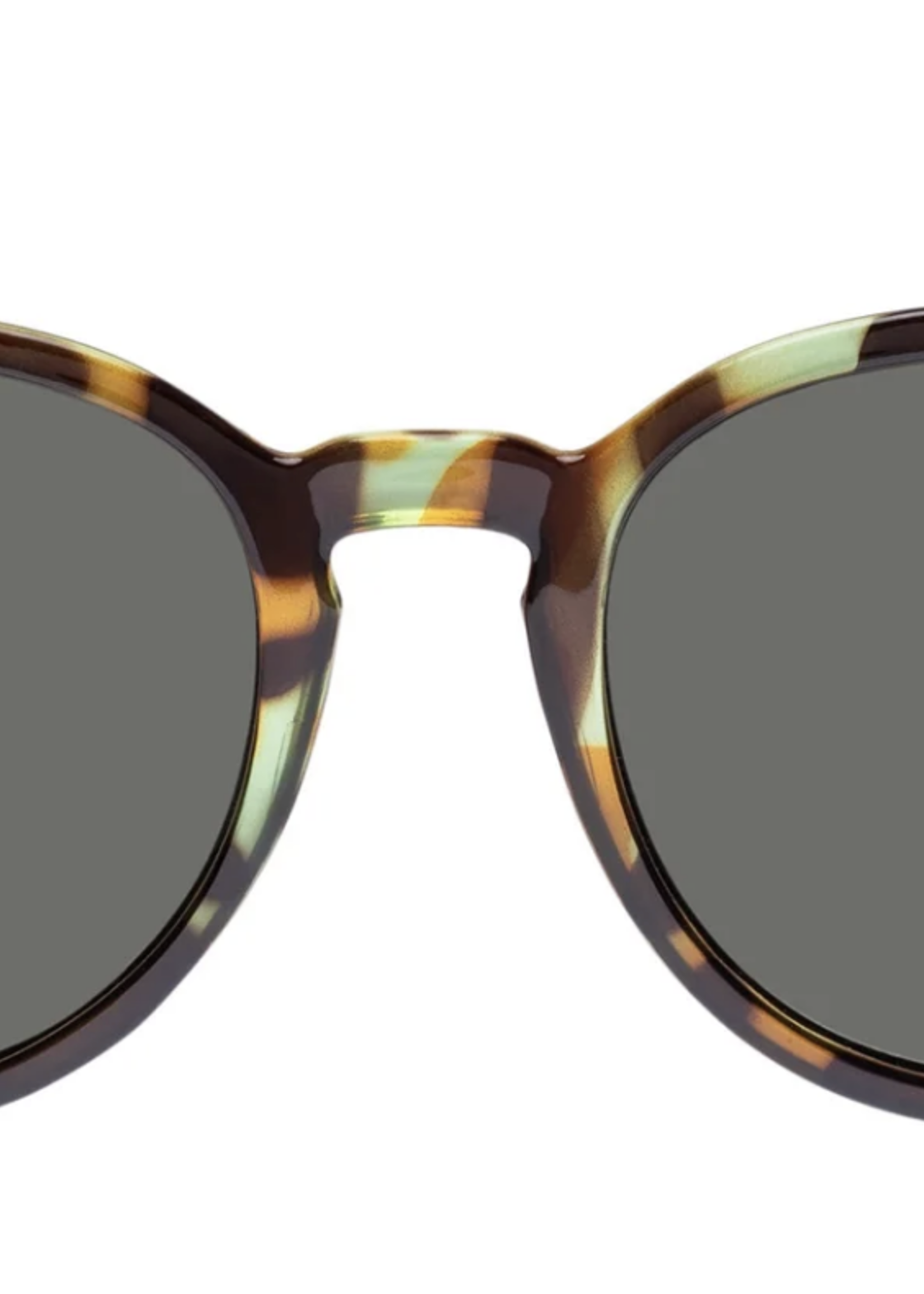 Le Specs Bandwagon Forrest Tort