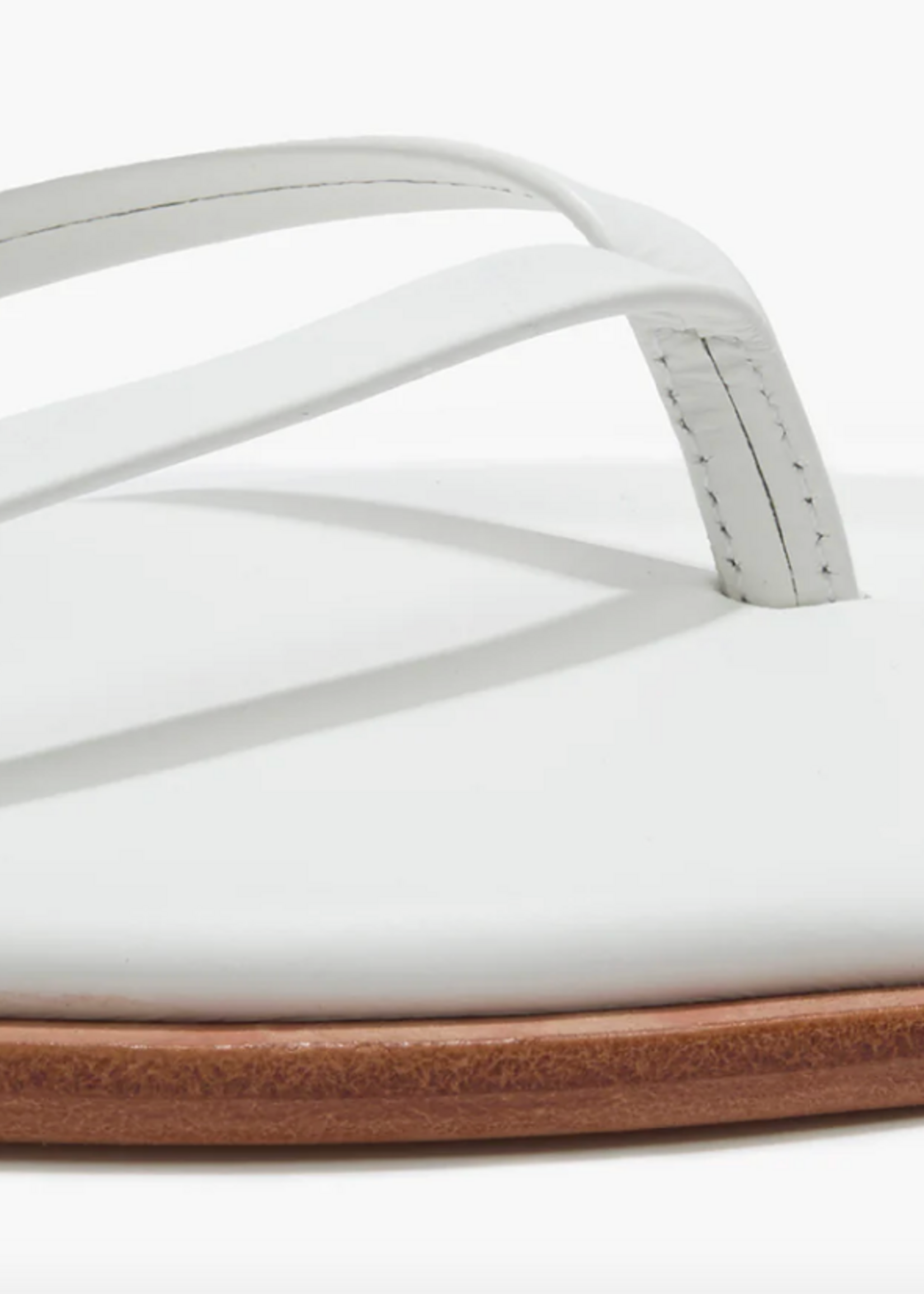 Tkees Square Toe Dylan White