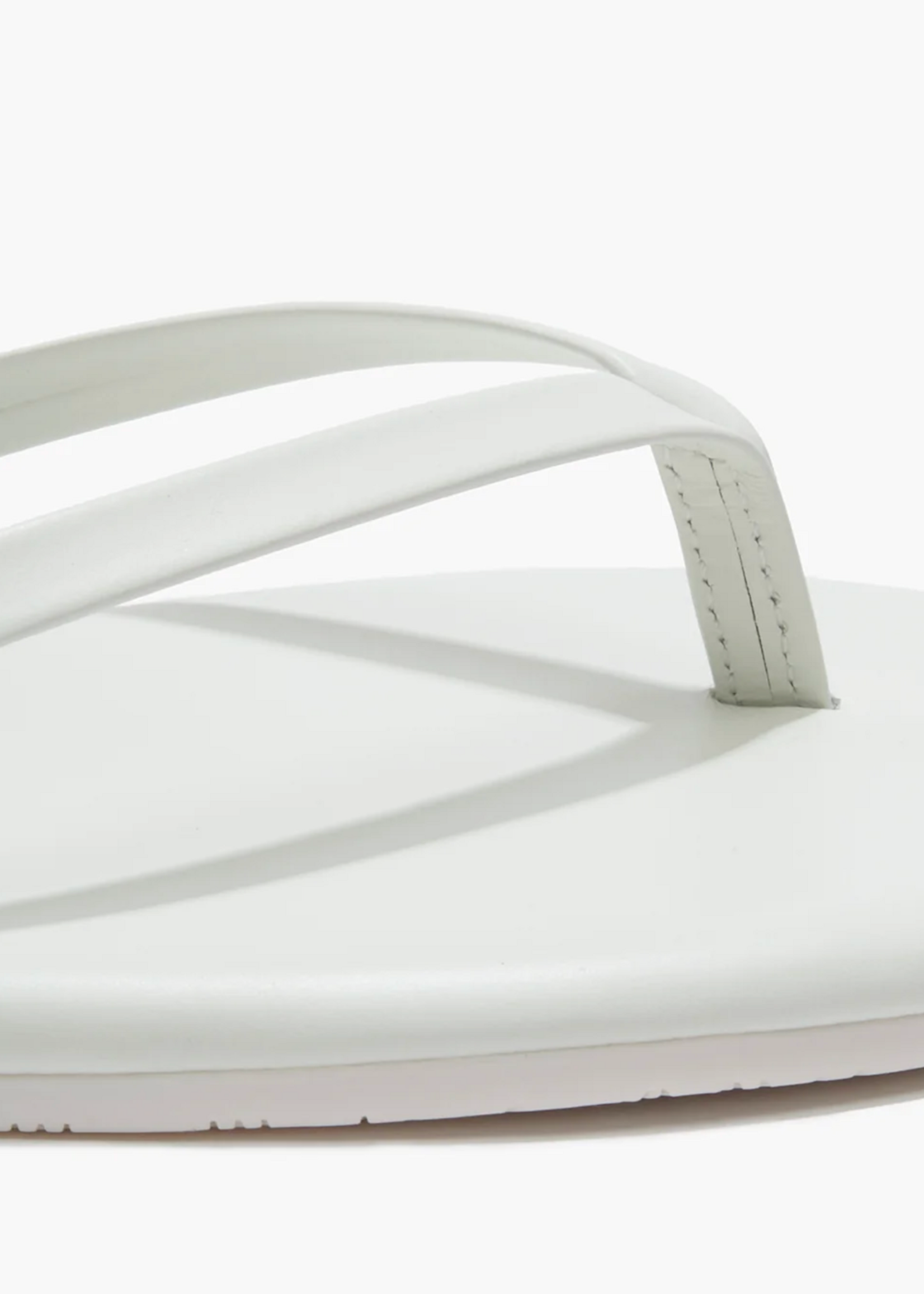 Tkees Solids White