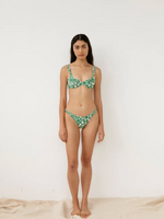 WWW  UNDERWIRE  & BALCONETTE Palm Green Bikini Set