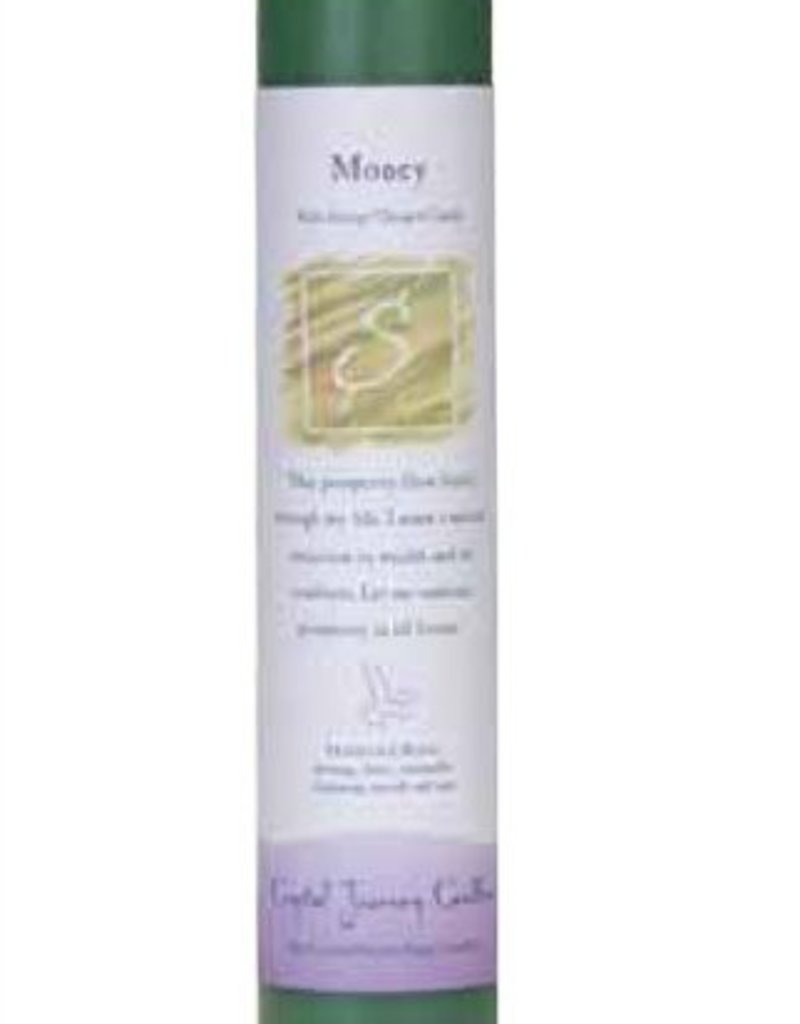 Herbal Magic Pillar Candle - Money