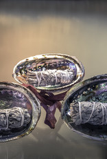 Abalone Shell - 6-7 inches