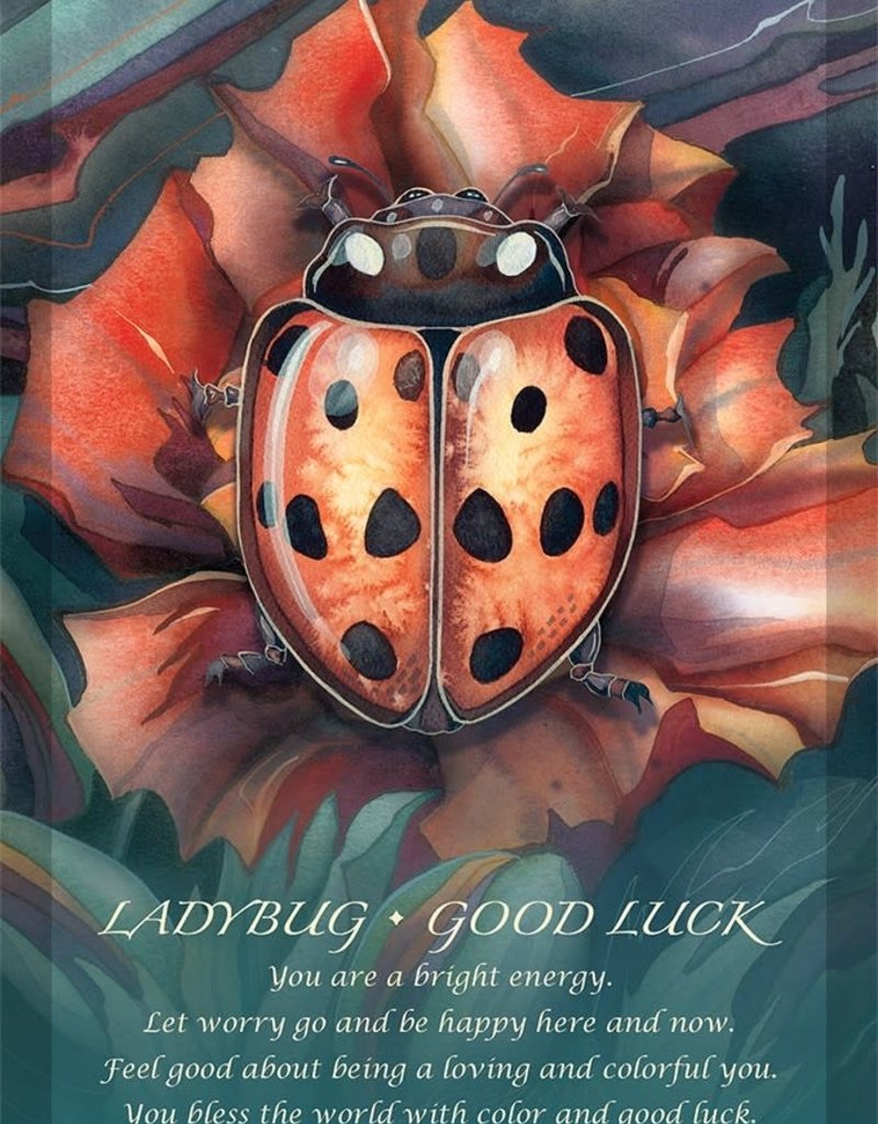 Spirit of the Animals Oracle - SOTA52