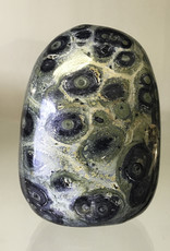Kambaba Jasper Palm Stone