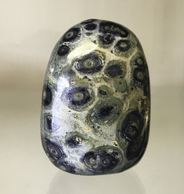 Kambaba Jasper Palm Stone