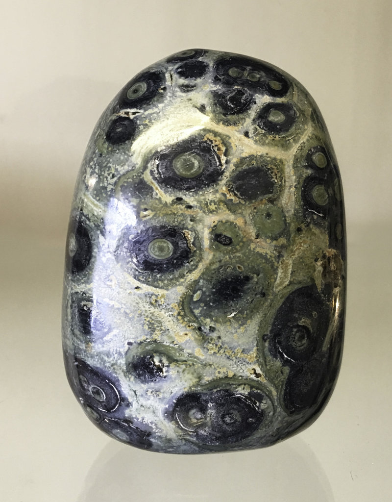 Kambaba Jasper Palm Stone