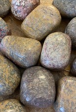 Leopardskin Jasper Palm Stone - Jumbo