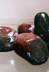 Bloodstone Palm Stone