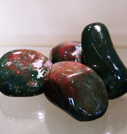 Bloodstone Palm Stone