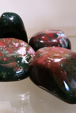 Bloodstone Palm Stone