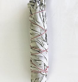 White Sage Smudge Stick Pkg. - 9 inches