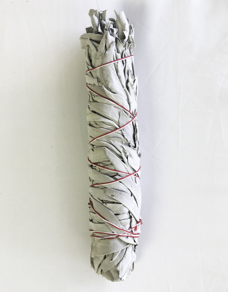 White Sage Smudge Stick Pkg. - 9 inches