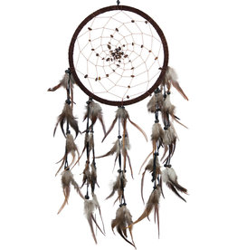 Dream Catcher - Tigers Eye Beads Spiral Web Brown - 30039