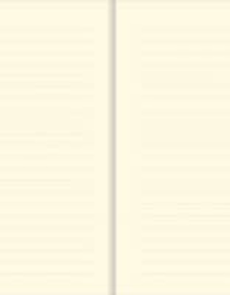 The Universe Journal