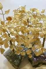 Bonsai Tree- Citrine with Amethyst Base - Lg - TREECIT8