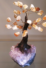 Bonsai Tree- Citrine with Amethyst Base - Lg - TREECIT8