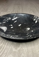 Orthoceras Black Bowl - 9774