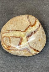 Septarian Palm Stone - Jumbo - TUMSEPTJ