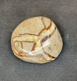 Septarian Palm Stone - Jumbo - TUMSEPTJ