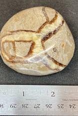 Septarian Palm Stone - Jumbo - TUMSEPTJ