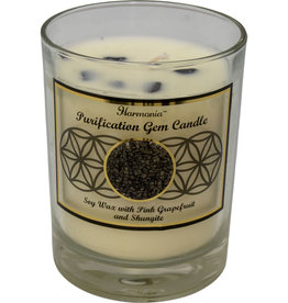 HC - Purification Shungite Soy Candle