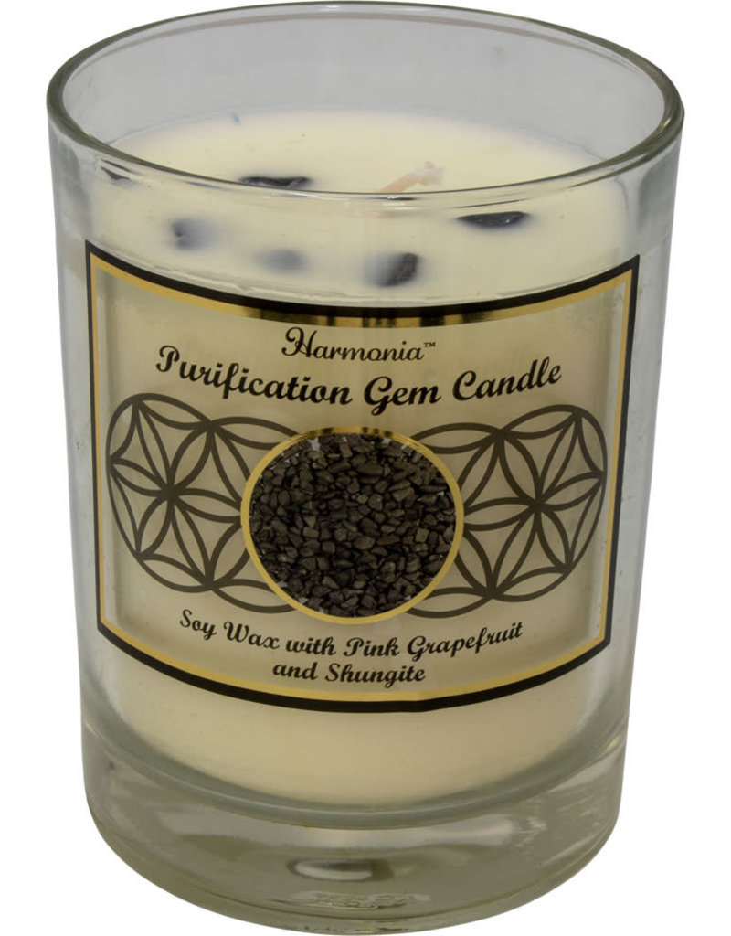 HC - Purification Shungite Soy Candle